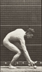 Plate 287 Baseball, running and picking up the ball — figure reference